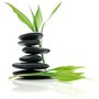 Photo of Sierra Nevada Holistic Services