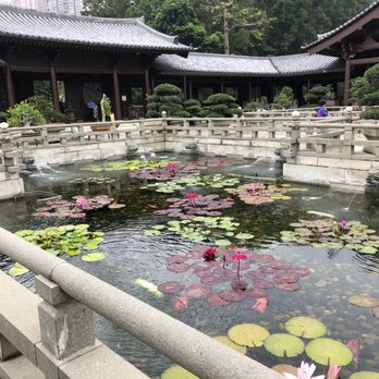 南蓮園池 - Buddhist Temples Near Me - Hong Kong, HK