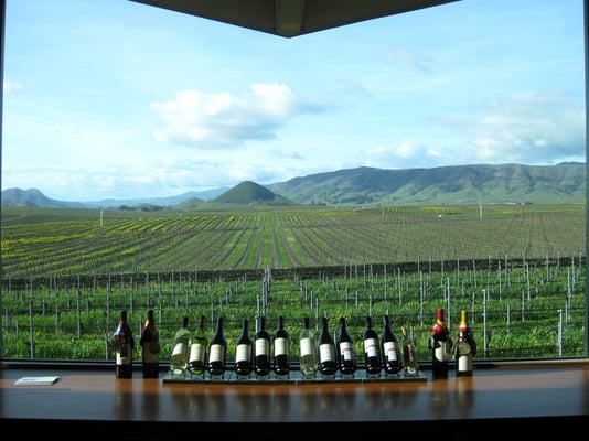 Edna Valley Vineyard by null