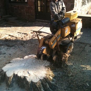 Stump Thumpers - Tree Services Near Me - Northfield, Connecticut