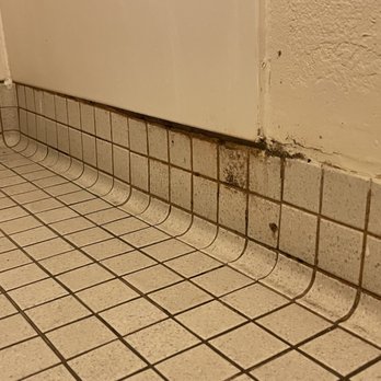 Red Roof PLUS+ Gainesville - Mold on shower wall - Hotels Near Me - Gainesville, Florida Red Roof PLUS+ Gainesville - Mold on shower wall - Hotels Near Me - Gainesville, Florida