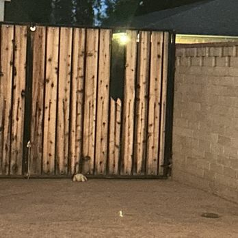 Landshark Gates - Before - Fences & Gates Near Me - Wittmann, Arizona Landshark Gates - Before - Fences & Gates Near Me - Wittmann, Arizona