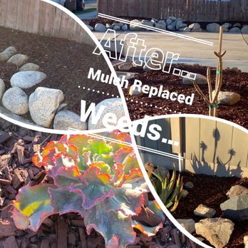 Gilberto Garden Landscape,tree Triming and Removal - Mulch & drought tolerant plants replaces weeds - Gardeners Near Me