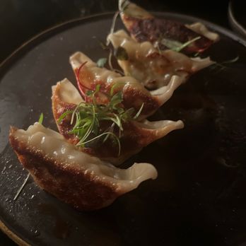 The Moderne - gyoza - Tapas/Small Plates Near Me - Orlando, Florida