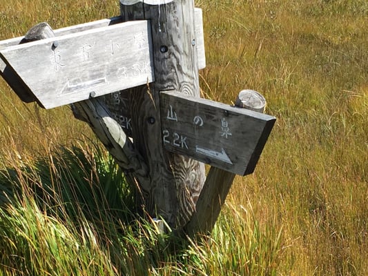 Oze National Park by null