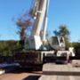 All STATE Jersey Electric