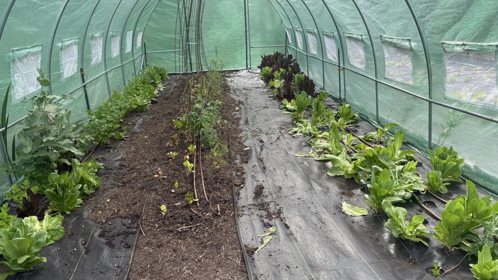 Seeds Of Hope At Sunflower Farms - social services organization in Portland, OR