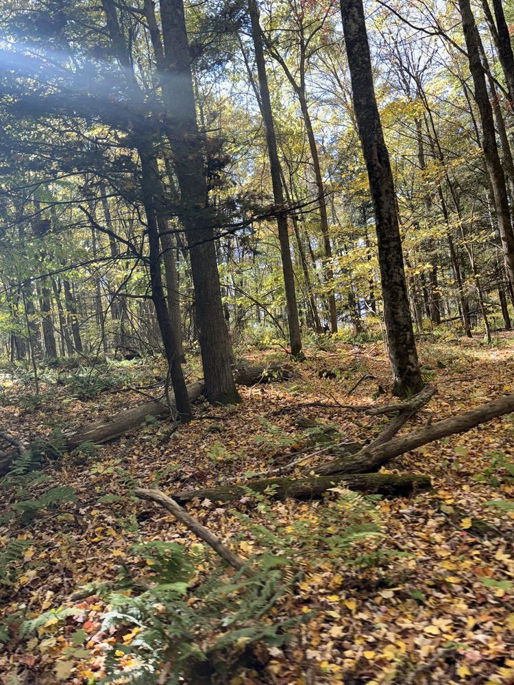 Backyard Adventure UTV Tour