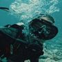 Damsel Diving