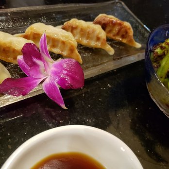 Tsukimi - Chicken Gyoza. Yum! The flower was such a nice aesthetic touch - Sushi Bars Near Me - Austin, Texas Tsukimi - Chicken Gyoza. Yum! The flower was such a nice aesthetic touch - Sushi Bars Near Me - Austin, Texas