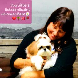 pet care center slauson