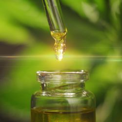The Skin Gem - Hemp a powerful antioxidant and anti-inflammatory !