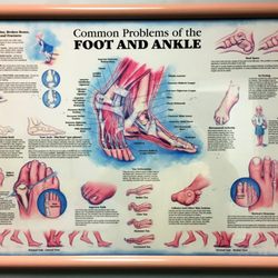 Certified Foot and Ankle Specialists, LLC