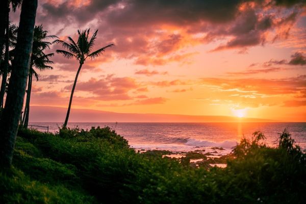 Napili Shores Maui by Outrigger by null