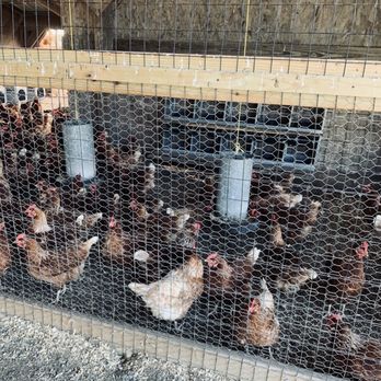 Cider Hill Farm - Pick Your Own Farms Near Me - Amesbury, Massachusetts