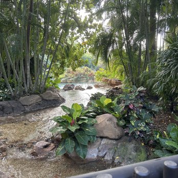 Discovery Cove - Amusement Parks Near Me - Orlando, Florida Discovery Cove - Amusement Parks Near Me - Orlando, Florida