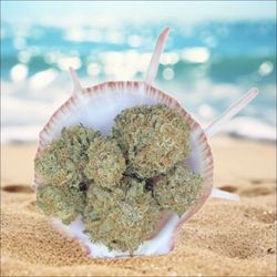 Coastal Craft Cannabis - Our flower is grown locally by the owner. Indoor produced, rainwater fed without the use of pesticides.