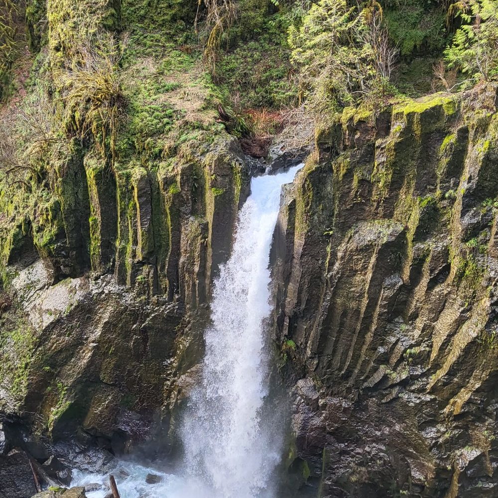 Drift Creek Fall And Bridge - Hiking Near Me - Otis, Oregon Drift Creek Fall And Bridge - Hiking Near Me - Otis, Oregon