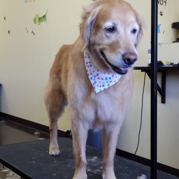 Clipn' Mutts - Pet Groomers Near Me - Apple Valley, Minnesota Clipn' Mutts - Pet Groomers Near Me - Apple Valley, Minnesota