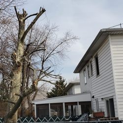 G & R Tree Service