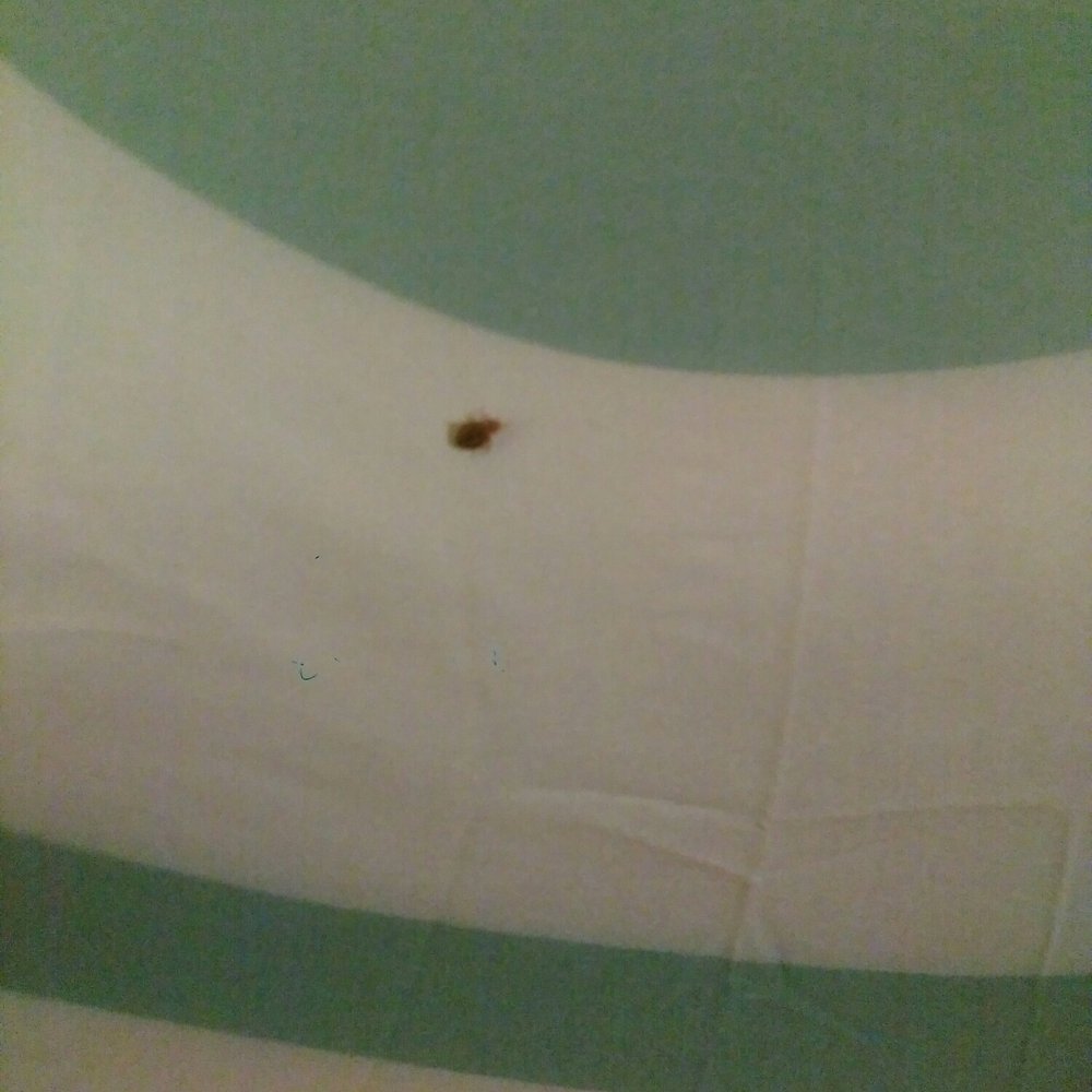 Tropicana Laughlin - A Caesars Rewards Destination - This place has bed bugs. DO NOT STAY HERE - Hotels Near Me - Laughlin, Nevada Tropicana Laughlin - A Caesars Rewards Destination - This place has bed bugs. DO NOT STAY HERE - Hotels Near Me - Laughlin, Nevada