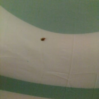 Tropicana Laughlin - A Caesars Rewards Destination - This place has bed bugs. DO NOT STAY HERE - Hotels Near Me - Laughlin, Nevada