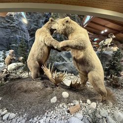 Bass Pro Shops - Bears