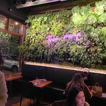 BODHI - Plant wall, great for photos - Thai Near Me - Indianapolis, Indiana BODHI - Plant wall, great for photos - Thai Near Me - Indianapolis, Indiana