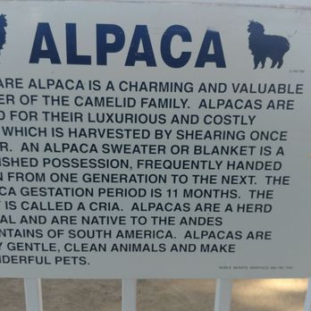The Alpaca Hacienda - Attraction Farms Near Me - Temecula, California