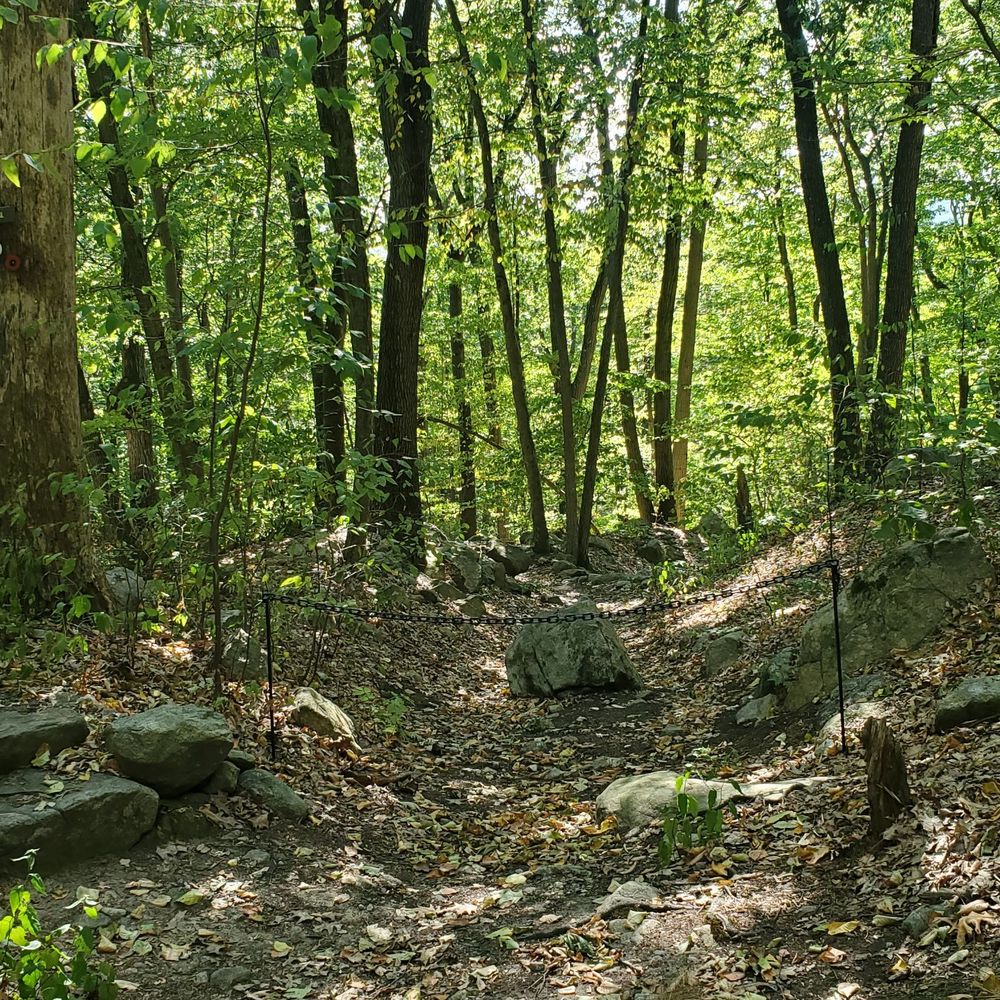 Path to the house - restricted Path to the house - restricted
