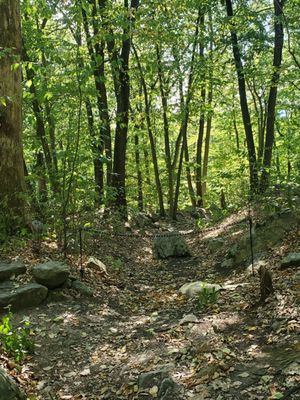 MANITOGA / The Russel Wright Design Center by null