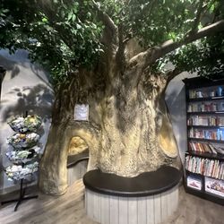 Hummingbird Books