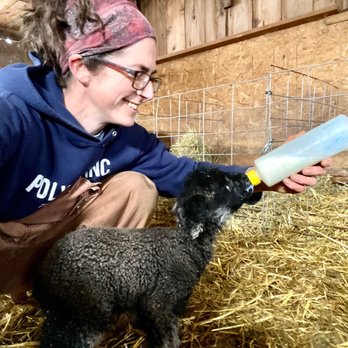 Ramstead Ranch - a woman feeding a lamb with a bottle - Meat Shops Near Me - Ione, Washington Ramstead Ranch - a woman feeding a lamb with a bottle - Meat Shops Near Me - Ione, Washington