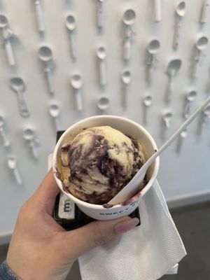 Sweet Science Ice Cream by null