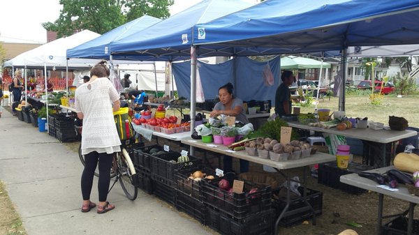 Riverwest Farmers Market by null