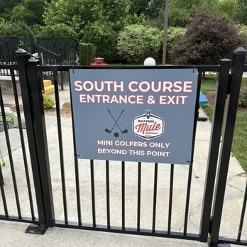 Salt Face Mule Brewing - Putt Putt - Brewpubs Near Me - Asheville, North Carolina Salt Face Mule Brewing - Putt Putt - Brewpubs Near Me - Asheville, North Carolina