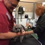 Photo of Pamela The Pet Sitter