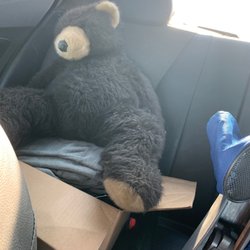 Junk & Disorderly - Our drunk and disorderly stuff black bear - Custer