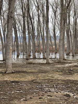 Chatfield State Park Campground by null