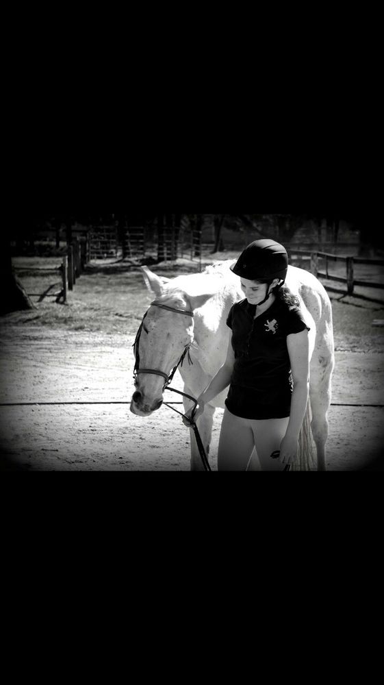 Dapper Dan Farm - equestrian in East Greenwich, RI