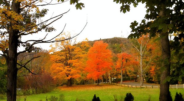 Quinnipiac University by null