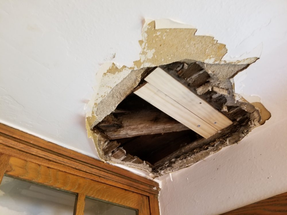 Slide of Roto-Rooter Plumbing & Water Cleanup