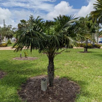 Bennett-Hart Park - Bennett-Hart Park, Fort Myers - Parks Near Me - Fort Myers, Florida Bennett-Hart Park - Bennett-Hart Park, Fort Myers - Parks Near Me - Fort Myers, Florida