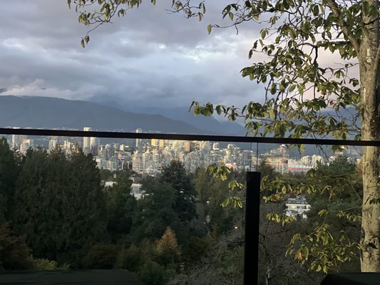 Seasons in the Park by null