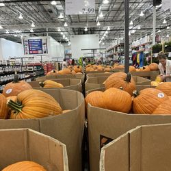 Costco - Happy Halloween 2025