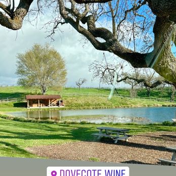Dovecote Estate Winery - Tasting shed across the pond - Wineries Near Me - Los Alamos, California