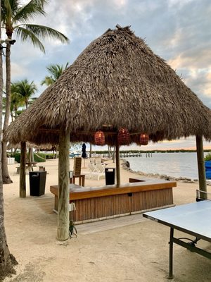 Coconut Palm Inn by null