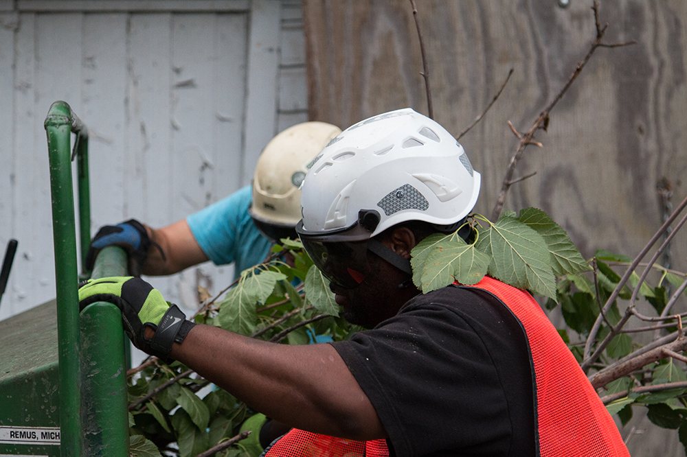 Limbgrabber's - tree service in Darien, IL