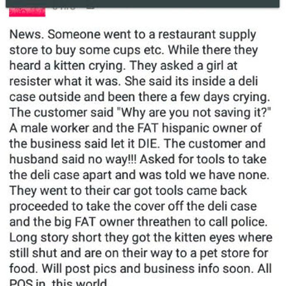 AAA Commissary Kitchen - The owners of this place told employees to let a kitten die in the deli case...some good samaritans heard the kitten crying and saved it - Restaurant Supplies Near Me - Las Vegas, Nevada AAA Commissary Kitchen - The owners of this place told employees to let a kitten die in the deli case...some good samaritans heard the kitten crying and saved it - Restaurant Supplies Near Me - Las Vegas, Nevada