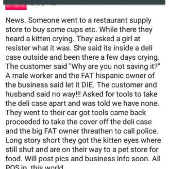 AAA Commissary Kitchen - The owners of this place told employees to let a kitten die in the deli case...some good samaritans heard the kitten crying and saved it - Restaurant Supplies Near Me - Las Vegas, Nevada AAA Commissary Kitchen - The owners of this place told employees to let a kitten die in the deli case...some good samaritans heard the kitten crying and saved it - Restaurant Supplies Near Me - Las Vegas, Nevada